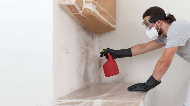 Professional Mold Removal technician working in Welcome, NC