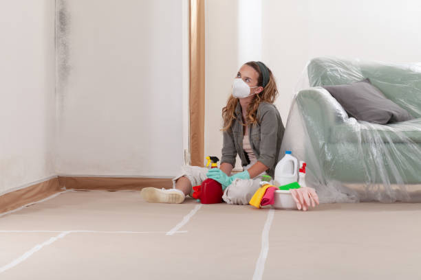 Reliable Mold Removal contractor in Welcome, NC by WQB Mold Removal